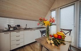 Rustaveli Apartment With Gym